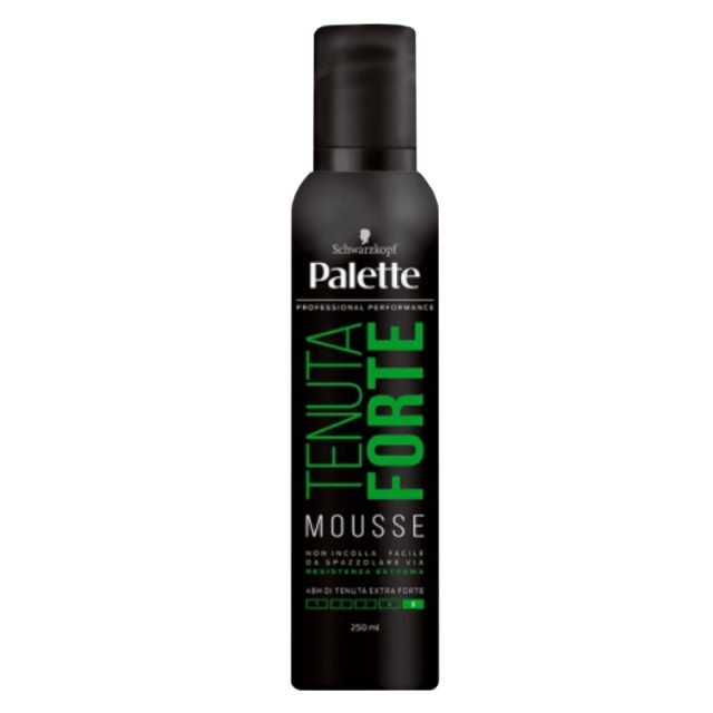 PALETTE Tenuta Forte Mousse, Αφρός για τα Μαλλιά, 250ml